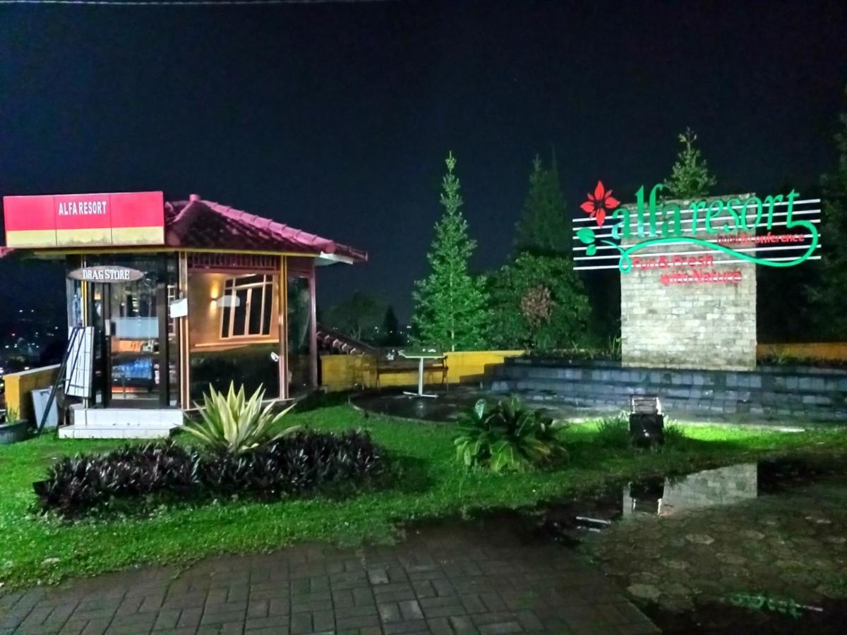 Alfa And Conference 3* Puncak