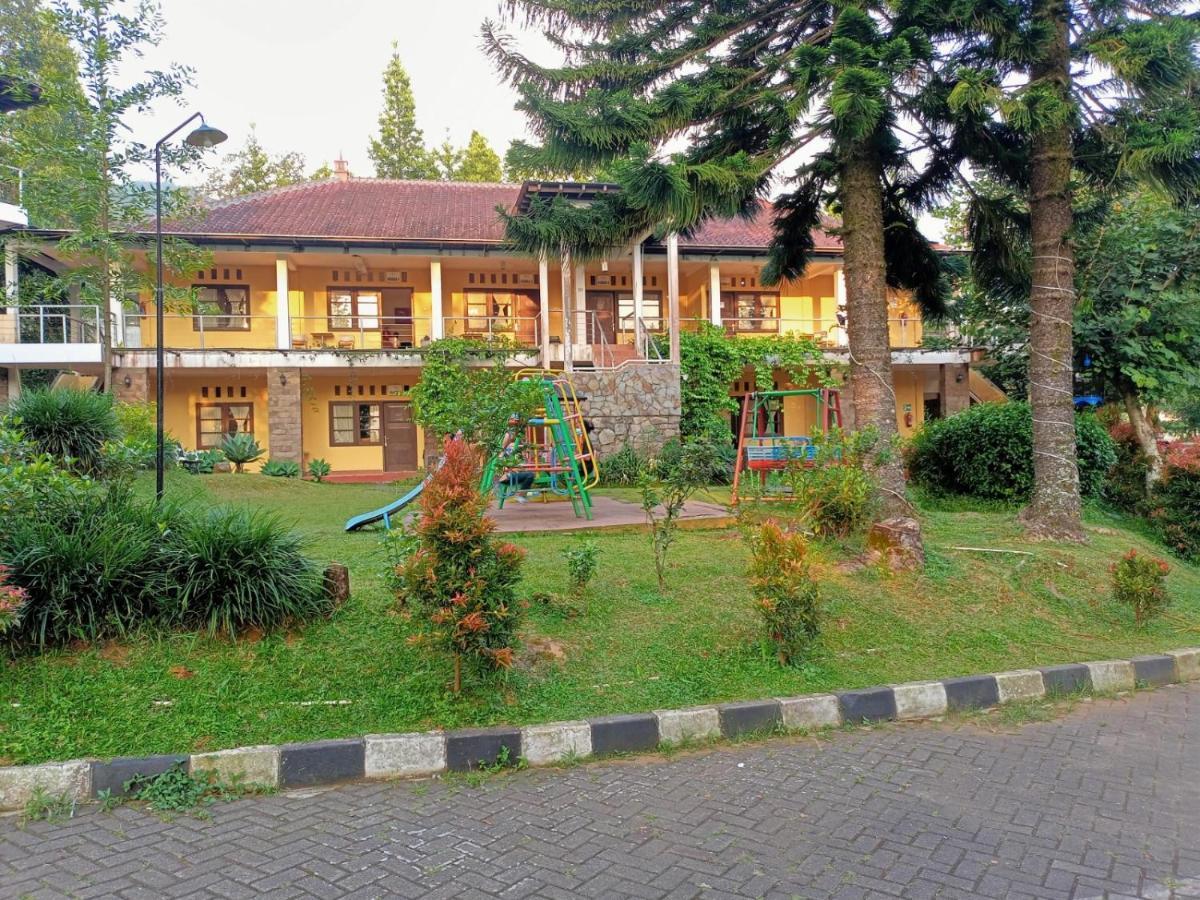 Resor Alfa And Conference 3*