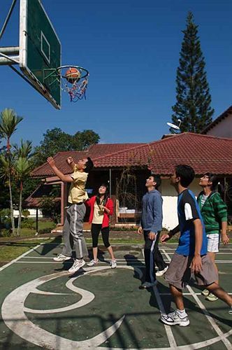 Resor Alfa And Conference 3*